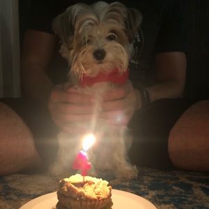 Meet your Posher, Clay